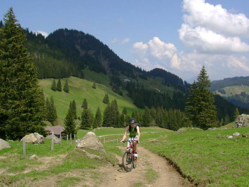 Chalet Murmeli Διαμέρισμα Eigenthal Εξωτερικό φωτογραφία