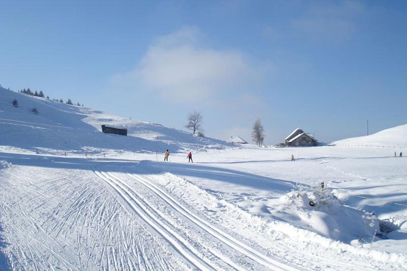 Chalet Murmeli Διαμέρισμα Eigenthal Εξωτερικό φωτογραφία