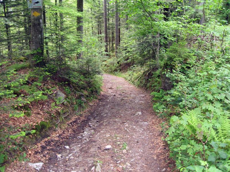 Chalet Murmeli Διαμέρισμα Eigenthal Εξωτερικό φωτογραφία