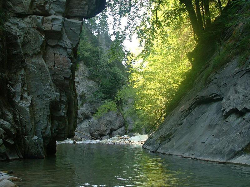 Chalet Murmeli Διαμέρισμα Eigenthal Εξωτερικό φωτογραφία