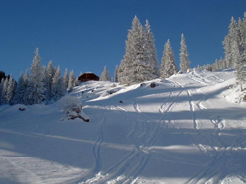 Chalet Murmeli Διαμέρισμα Eigenthal Εξωτερικό φωτογραφία