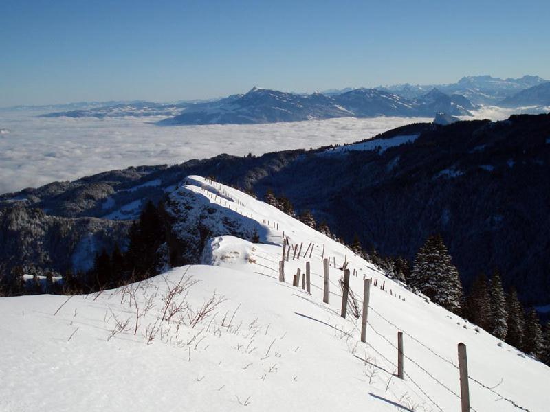 Chalet Murmeli Διαμέρισμα Eigenthal Εξωτερικό φωτογραφία