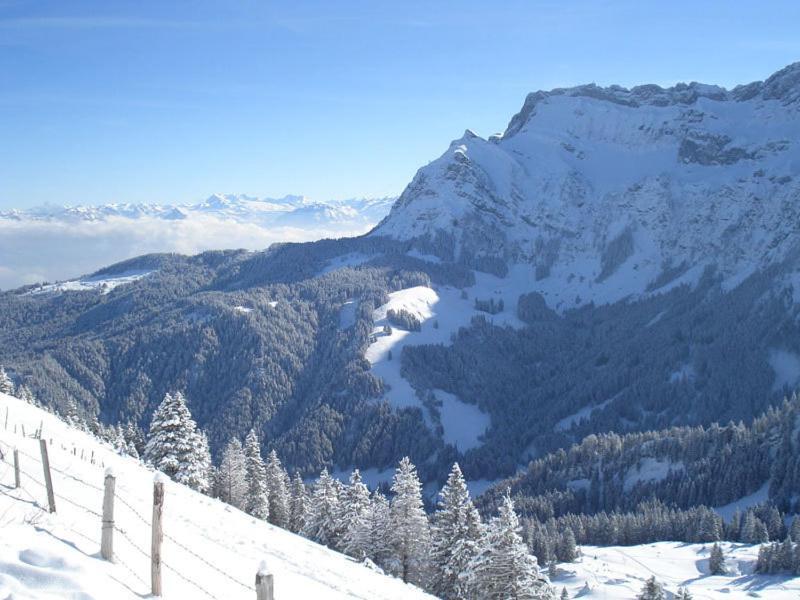 Chalet Murmeli Διαμέρισμα Eigenthal Εξωτερικό φωτογραφία